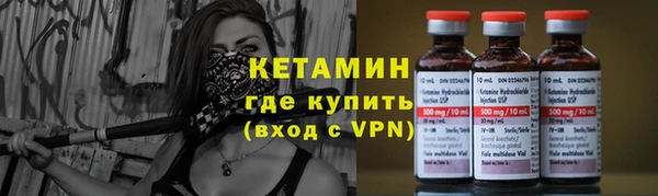 сатива Покачи