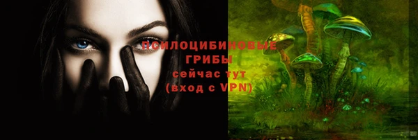 ГАЛЛЮЦИНОГЕННЫЕ ГРИБЫ Бородино