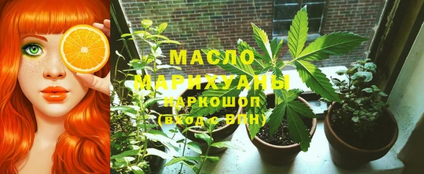 молекула духа Бронницы
