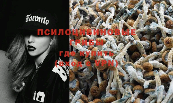 молекула духа Бронницы